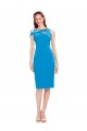 Sleeveless Mermaid Formal Evening Gown / Prom Dress / Bridesmaid Dress Lincoln