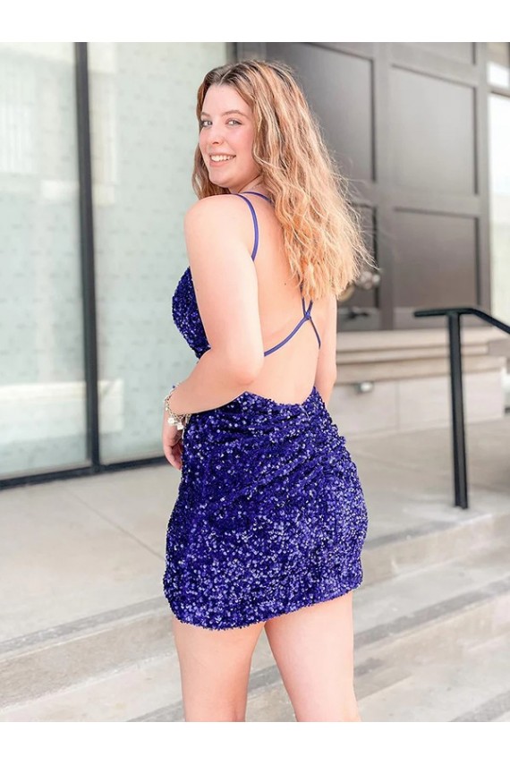 Sleeveless Shown Color Sheath V-Neck Cocktail Dress / Prom Dress Lincoln